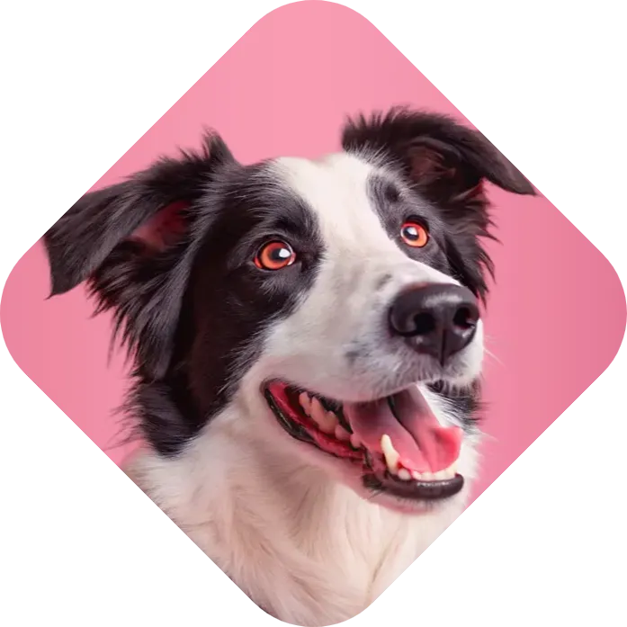 picture cropping result
